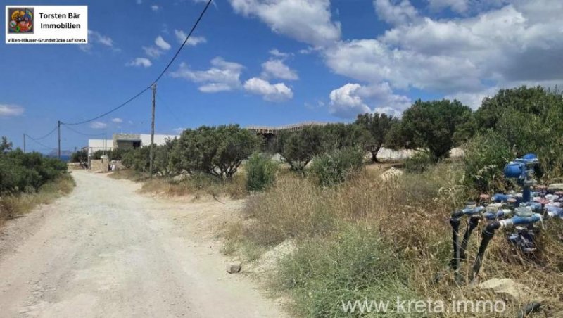 Pitsidia Kreta, Pitsidia Grundstück von 1566 m² zu verkaufen in Pitsidia Grundstück kaufen